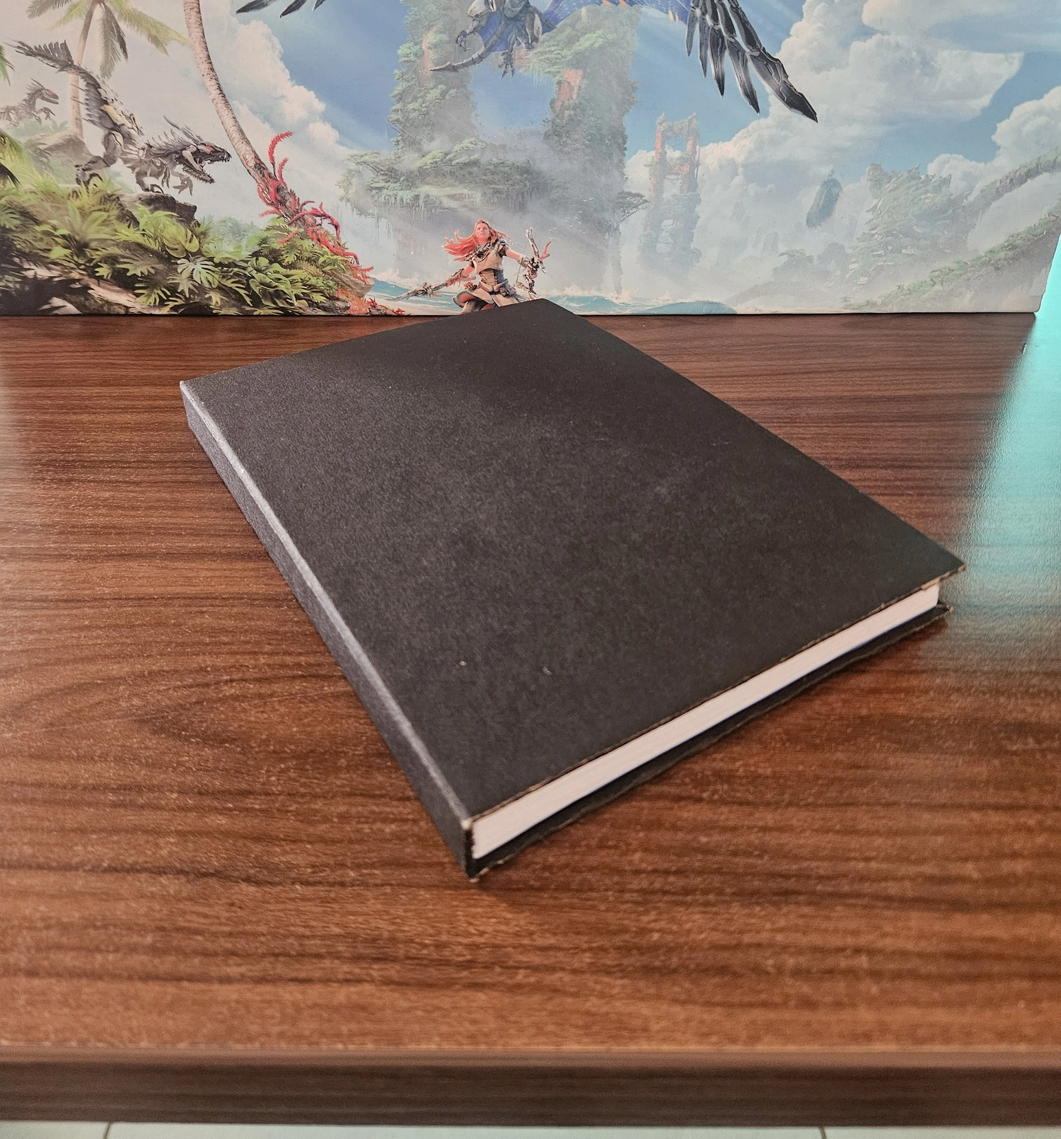 This is how the final book looks, quite pleased with it