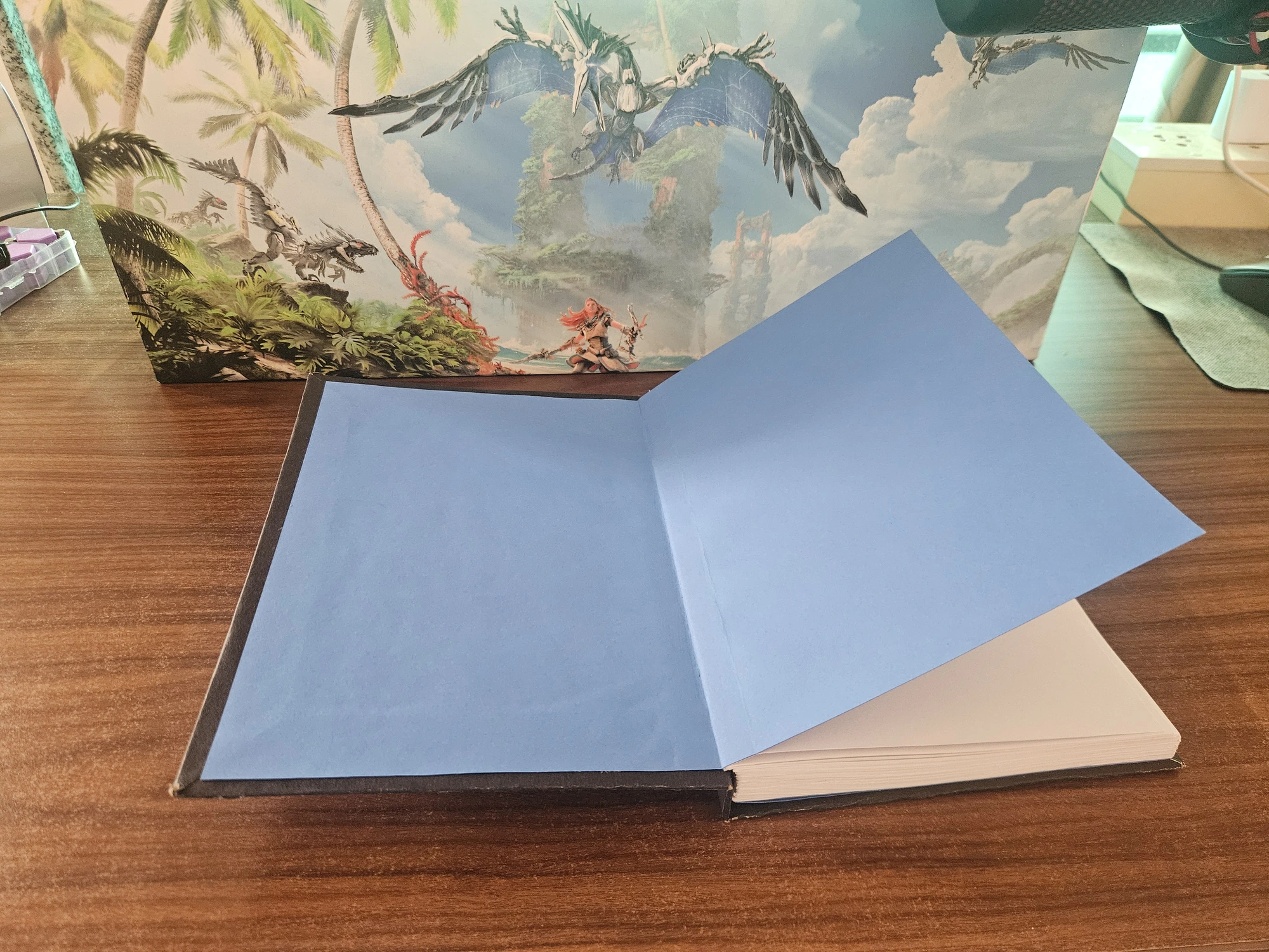 This is how the endpapers look glued down with the cover and the text-block