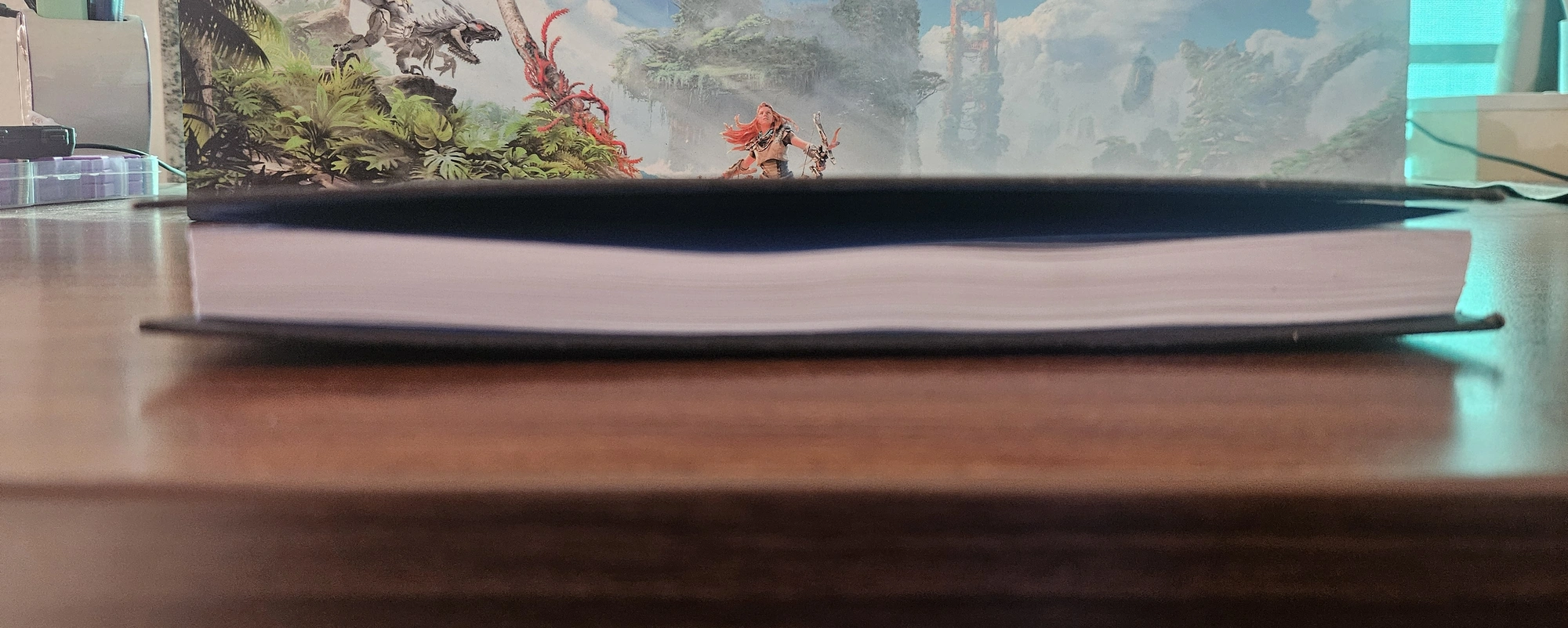 You can see how the cover-boards have warped towards the inside from this angle
