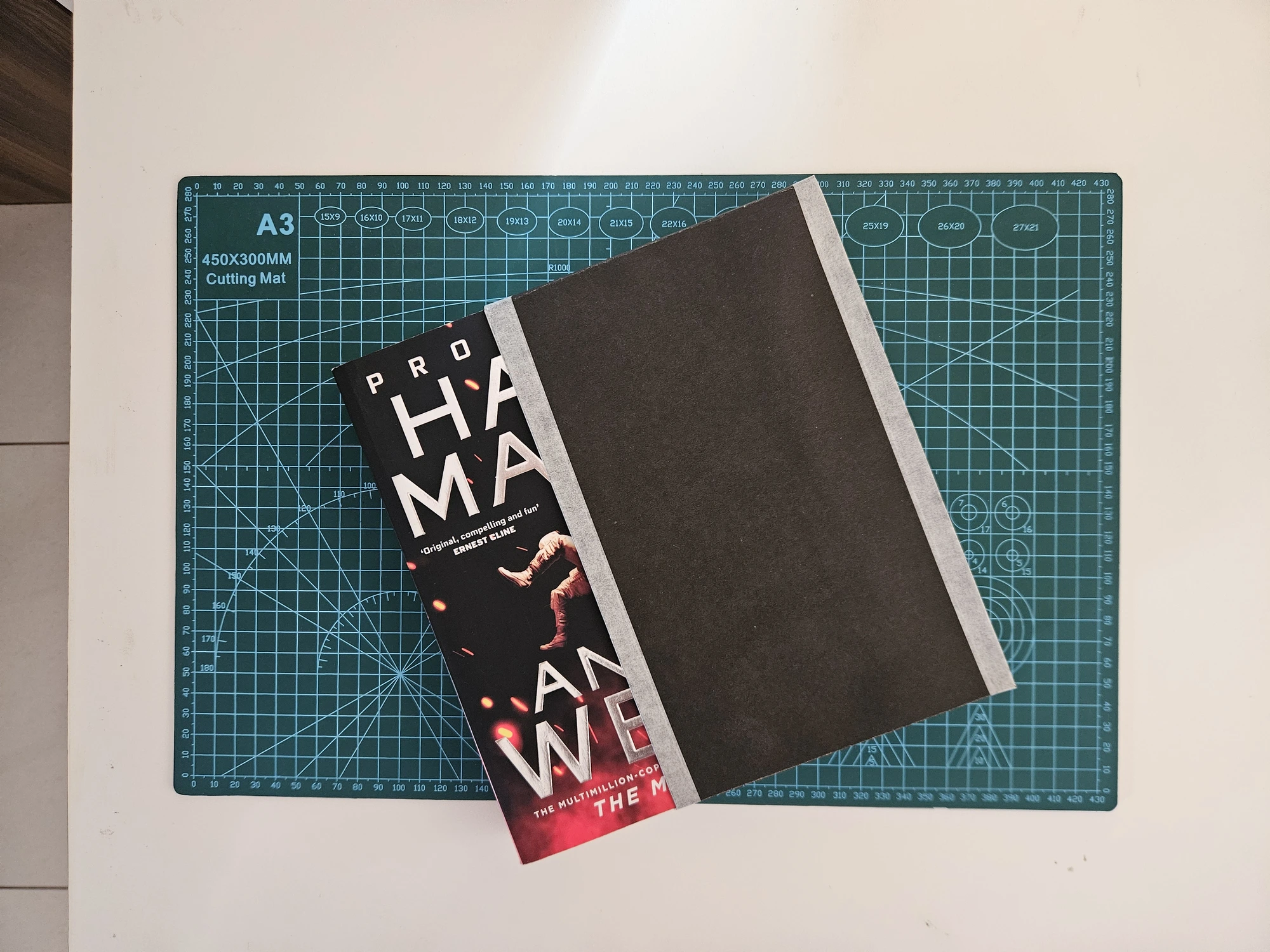A photo of the book partially inserted in the case, just because I think it looks nice