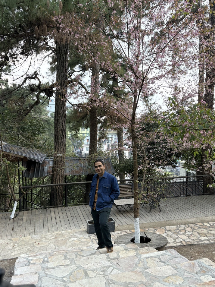 A random Varun spotted posing besides a Cherry blossom tree. Photo credit: My Awesome Wife